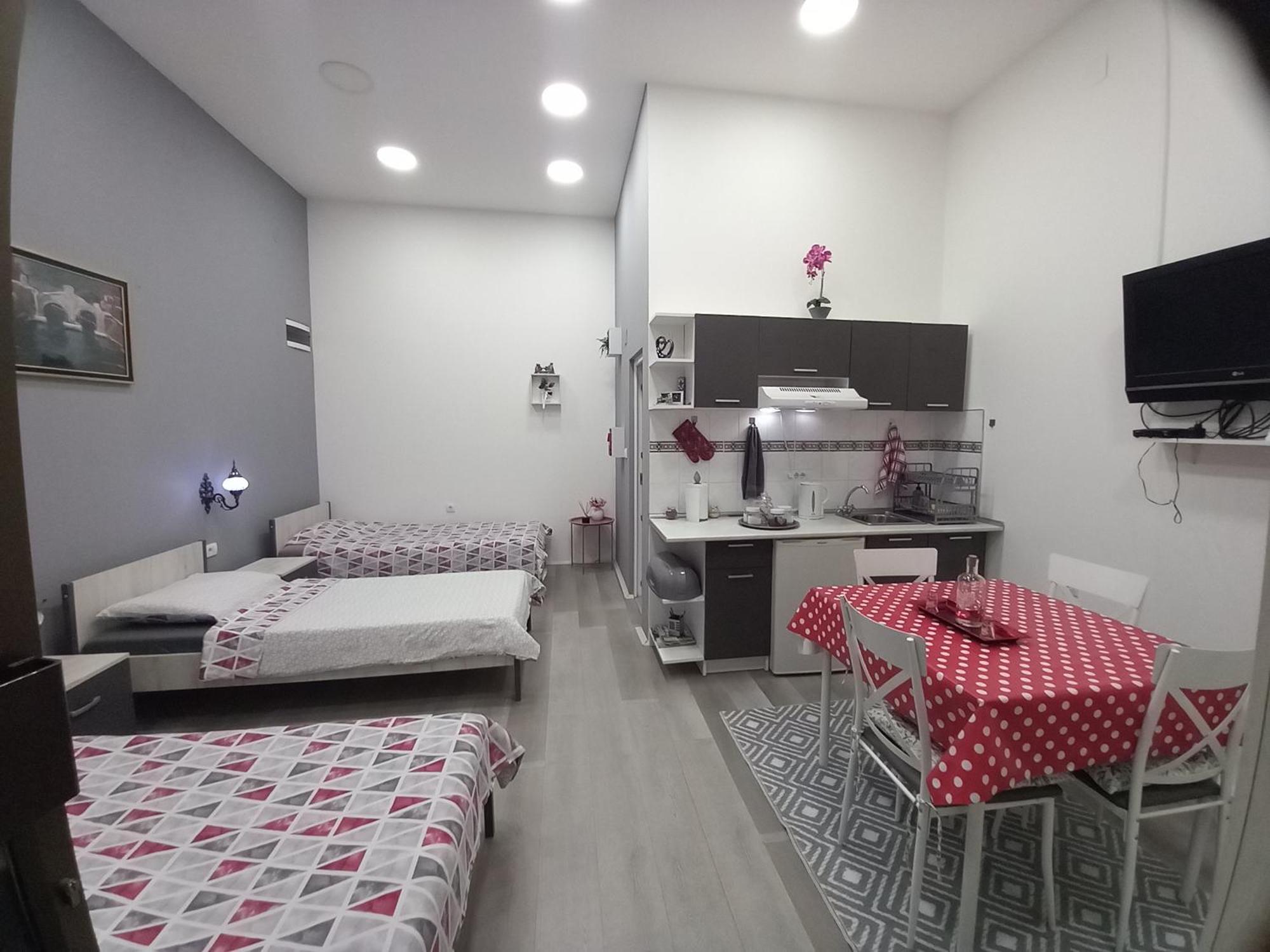 Apartman Stari Most - Old Bridge Bečej Pokoj fotografie